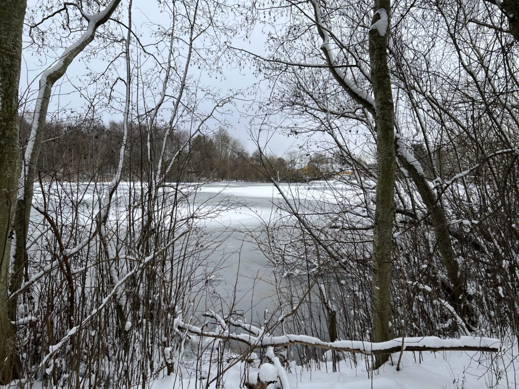 Livet omkring Lindegårdssøen